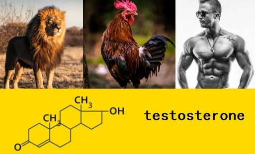 11 Natural Ways to Boost Testosterone (with Report). Be Alpha.